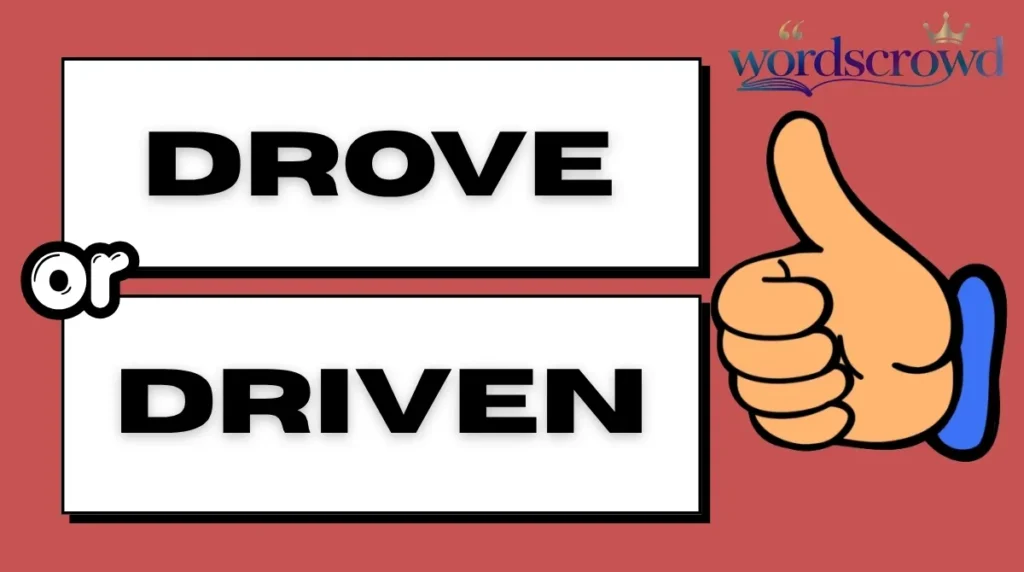 Drove or Driven