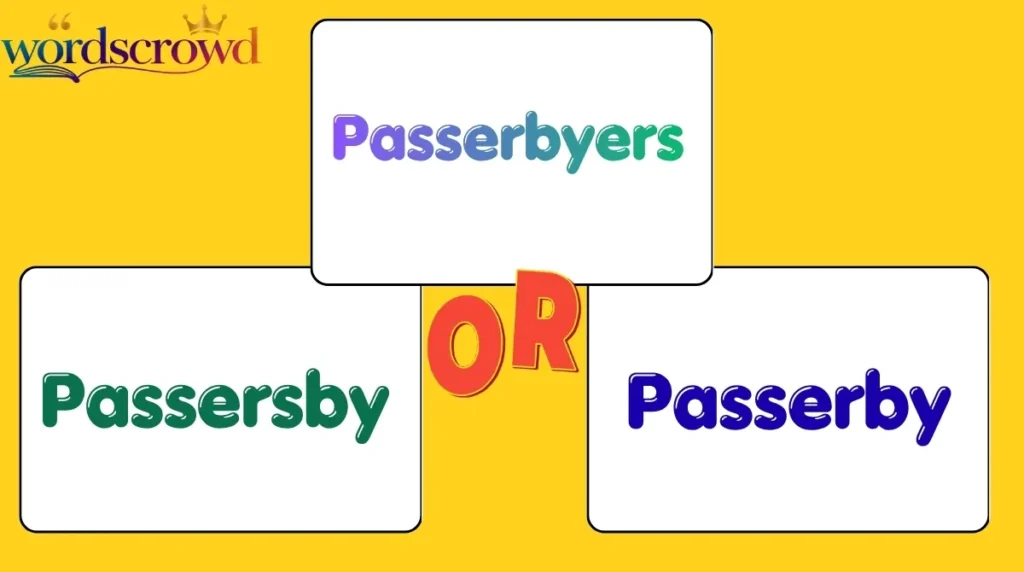 Passerbyers or Passersby or Passerby
